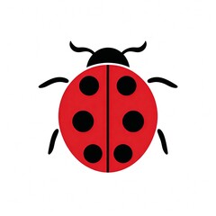 Obraz premium Red ladybug on white background