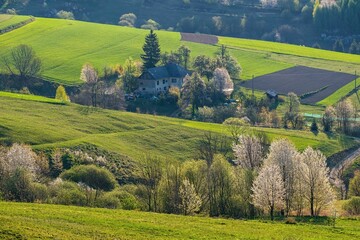 Picturesque spring meadow with blooming cherry tree. Spring paradise with blooming trees. Historic agrarian landscape, Hrinovske lazy, Slovak republic. Travel destination. Seasonal natural scene.  © Ivan