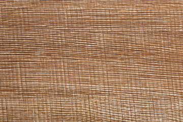 Seamless texture wood old oak or modern wood texture