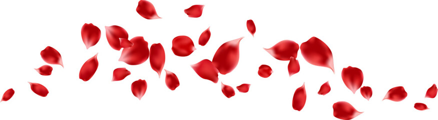 Fototapeta premium Rose petals flying together vector background, spring floral wedding invitation, Valentine or Mother Day card