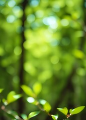 Obraz premium Abstract blur focus mint green bokeh leaf spring nature light eco blue foliage background concept cool summer texture bio spring calm day organic health in turquoise wallpaper blurred park leaf bokeh 