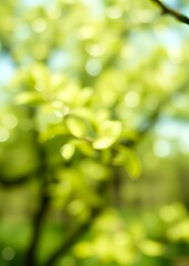 Obraz premium Abstract spring background with bokeh bokeh green bokeh green abstract background light bright blur pattern