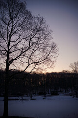 Fototapeta premium 北海道勇払郡厚真町「OHNUMA CAMPBASE (大沼キャンプ場)」冬キャンプ