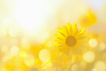 Obraz premium yellow flowers with a soft and fluffy background