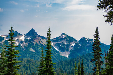 Mountain landscape. Forest nature with mount. Nature in mountain countryside. Scenery landscape of mountain. Scenery coniferous forest. Pine tree and mountain landscape with forest