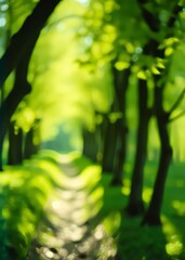 Obraz premium Green spring background bokeh green bokeh green abstract background light bright blur pattern