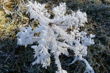 Bizarre Eiskunst der Natur