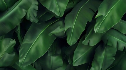 A dense cluster of vibrant green tropical leaves creates a rich, textured natural background.