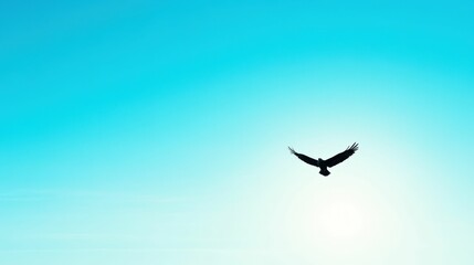 Fototapeta premium Majestic bird soars against a clear blue sky in serene nature scene