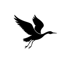 vector illustration of a bird