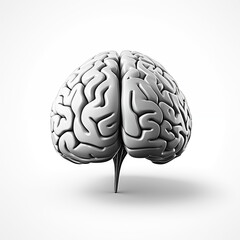 Human brain, front view, black and white sketch, icon, minimalism, no people, close-up, concept, ai
