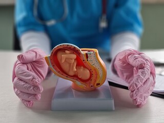 A doctor carefully holds a model of a newborn baby while demonstrating baby care techniques