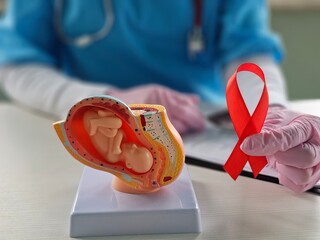 Planning pregnancy with HIV. Uterus, embryo and red ribbon. HIV infection and motherhood