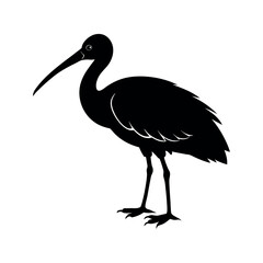 Premium Roseate Spoonbill Silhouette Vector Graphics for Designers