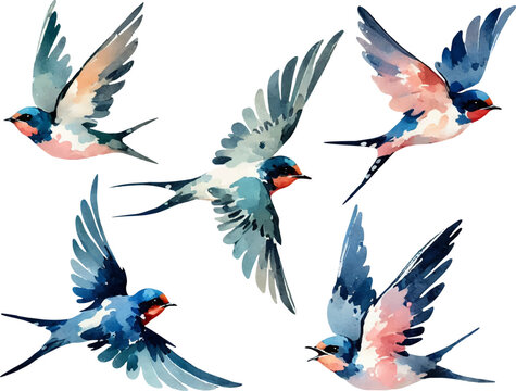 set with swallows in watercolor style. watercolor birds swallows