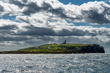 Seabird Nature Reserve Isle Of May In The Firth Of Forth In The Atlantic Ocean Near Anstruther In...