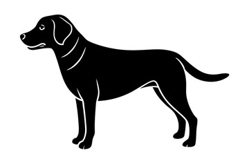 Dog illustration, Dog art, Dog drawing