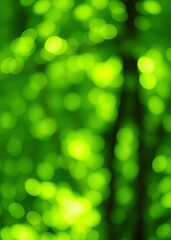 Obraz premium Green bokeh backgroundwallpaper bokeh green bokeh green abstract background light bright blur pattern
