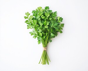 Fototapeta premium Fresh Parsley Bunch: A vibrant bunch of fresh parsley, tied neatly with twine, ready to add a burst of freshness to your culinary creations.