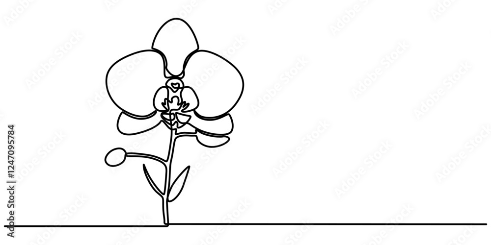 Poster phalaenopsis orchid flowers continuous line drawing with editable stroke, beautiful orchids line art