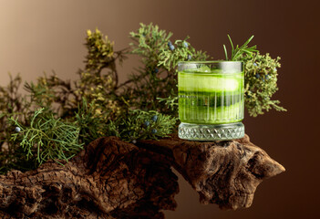 Cocktail gin and tonic with ice, cucumber, and rosemary.