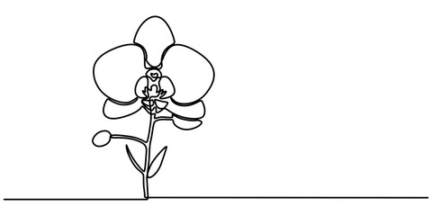 Phalaenopsis Orchid Flowers Continuous Line Drawing with Editable Stroke, Beautiful orchids line art pattern. Exotic flowers drawing on simple background, Collection of orchid flowers in vector.  pro.