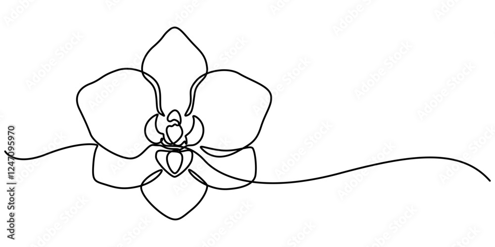 Poster phalaenopsis orchid flowers continuous line drawing with editable stroke, beautiful orchids line art