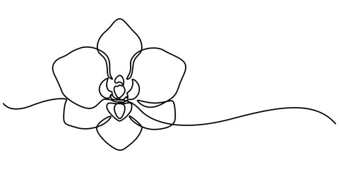 Phalaenopsis Orchid Flowers Continuous Line Drawing with Editable Stroke, Beautiful orchids line art pattern. Exotic flowers drawing on simple background, Collection of orchid flowers in vector.  pro. © line drawing