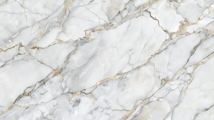 Fototapeta premium Marble Panoramic Wallpaper, Top View Product Display, Gray White Marble Background