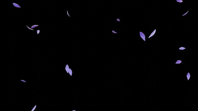Falling Petals Purple &ndash; 16:9 Transparent |紫色花びらのパーティクルアニメーション　背景透過