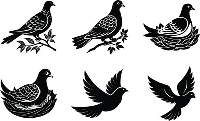 set of birds vector