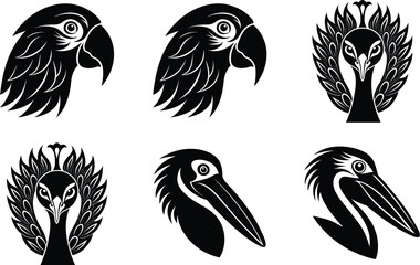 set of different birds