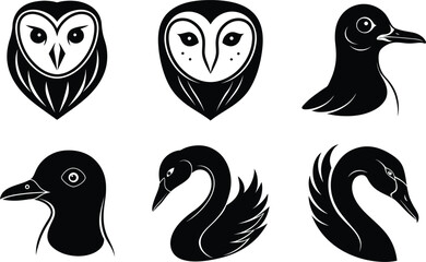 black and white birds