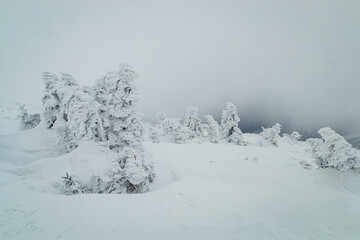 Karkonosze mountains covered with snow, Lower Silesia Poland.