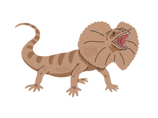 Frilled lizard. Hooded reptile. Animal in the wild. Nature and fauna. Vector illustration isolated on white background