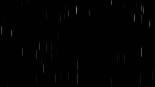 Light Rain Falling 4K 30FPS Black & White Background Foreground