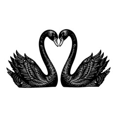 Obraz premium Two Black Swans Forming a Heart Shape with Love in Black and White Outline Line Art Drawing