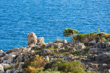 Scenic view of rugged coastline featuring rocks, shrubs, and solitary tree against backdrop of calm, blue sea. Sunlight highlights natural textures and vibrant colors of Mediterranean coast