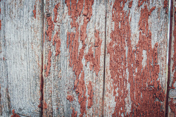 abstract close-up of a red chipped peeling painted weathered fence texture grunge background