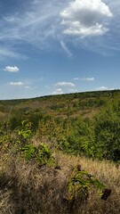 Obraz premium Nature 