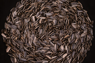 Spiral Pattern of Sunflower Seeds on Dark Background