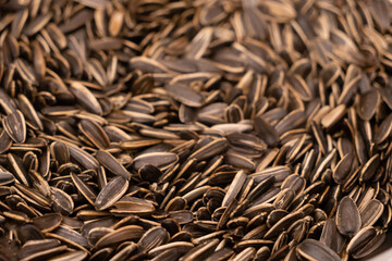 Sunflower Seeds Close-up – Natural Texture and Pattern