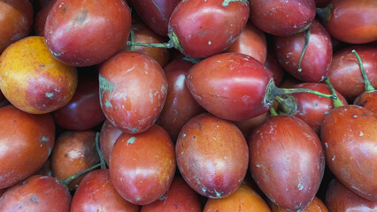  Tree tomato or Tamarillo - Exotic fruit
