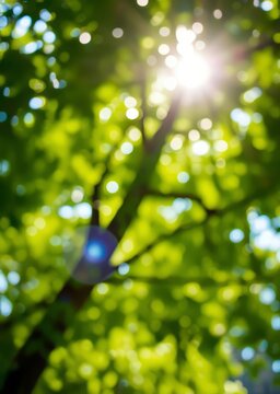 Abstract nature bokeh background of sunlight under the tree green and blue leaves bokeh for nature backgroundabstract texture bokeh green bokeh green abstract background light bright blur pattern