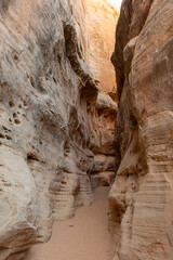 Scenic Desert Landscape in the Valley of  Fire State Park Nevada
