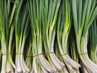 Bunch of organic Chives, cebolleta o ciboulette on the market – fresh