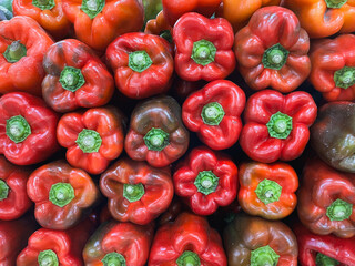 Row of peppers or paprika for sale at the market