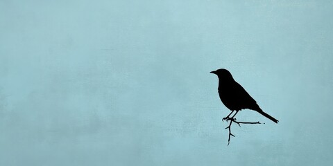 Fototapeta premium Silhouette Of A Bird Perched On A Branch Against A Light Blue Background