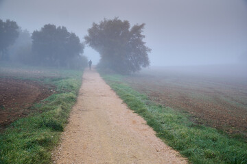 Solitary figure walking on foggy rural path
