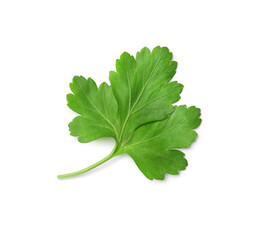 Sprig of fresh parsley isolated on white, top view